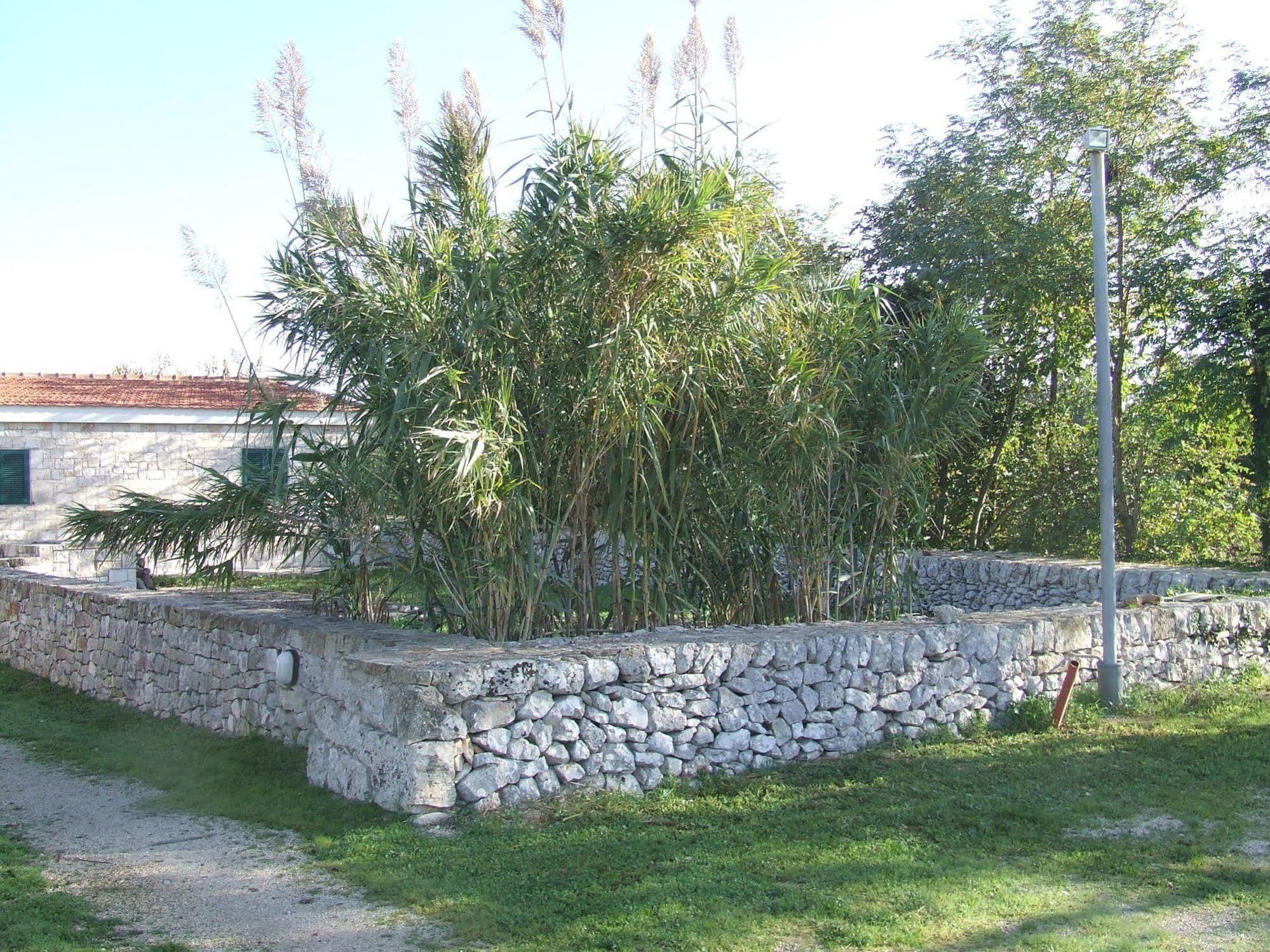 Apartamento Dimora Del Sole Putignano Exterior foto